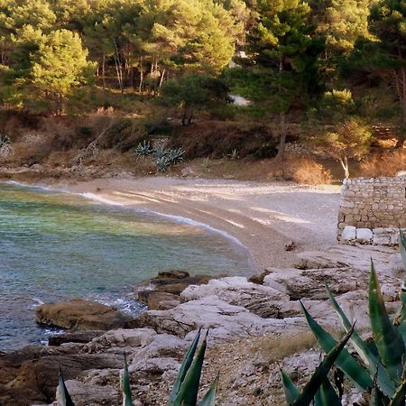 Guesthouse Torga Vis Island Εξωτερικό φωτογραφία