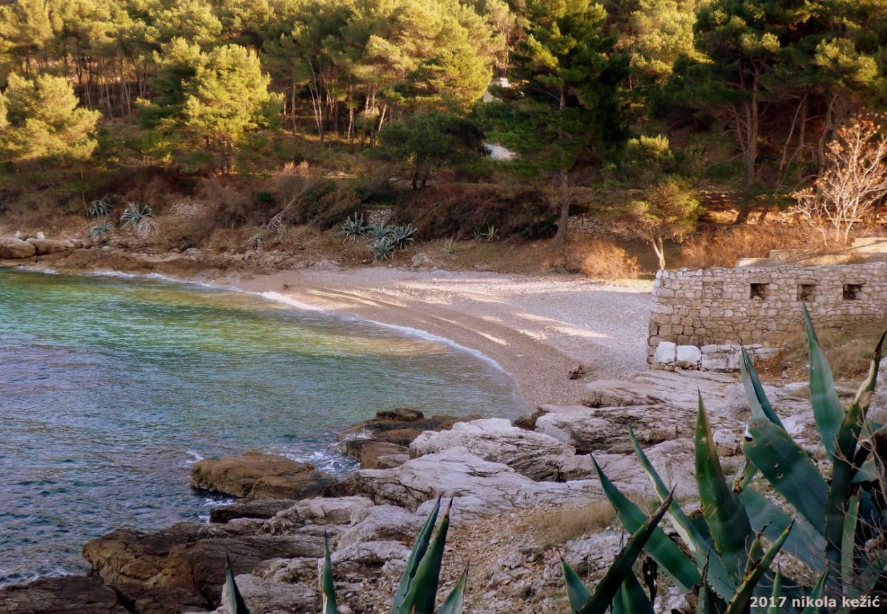 Guesthouse Torga Vis Island Εξωτερικό φωτογραφία